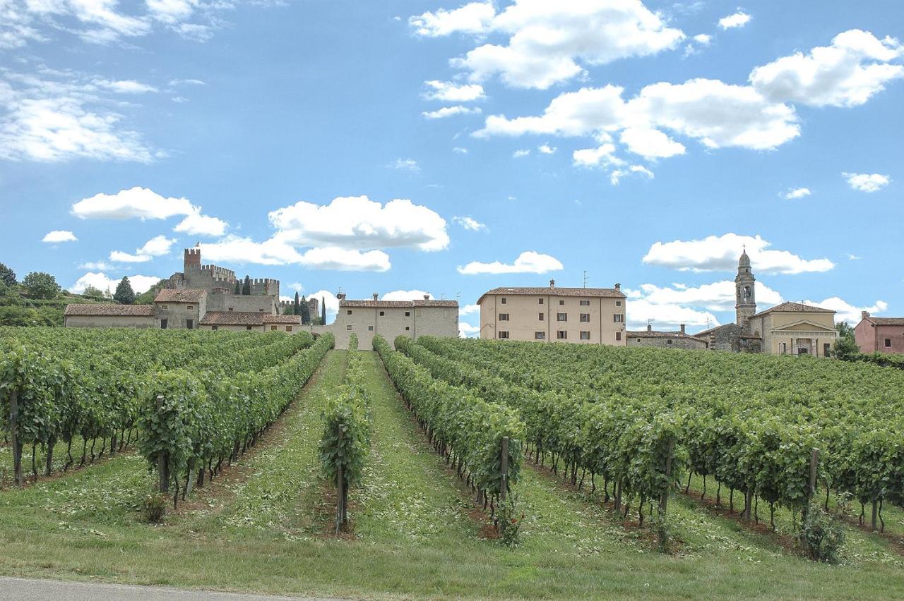Antique Maison Soave (Verona)