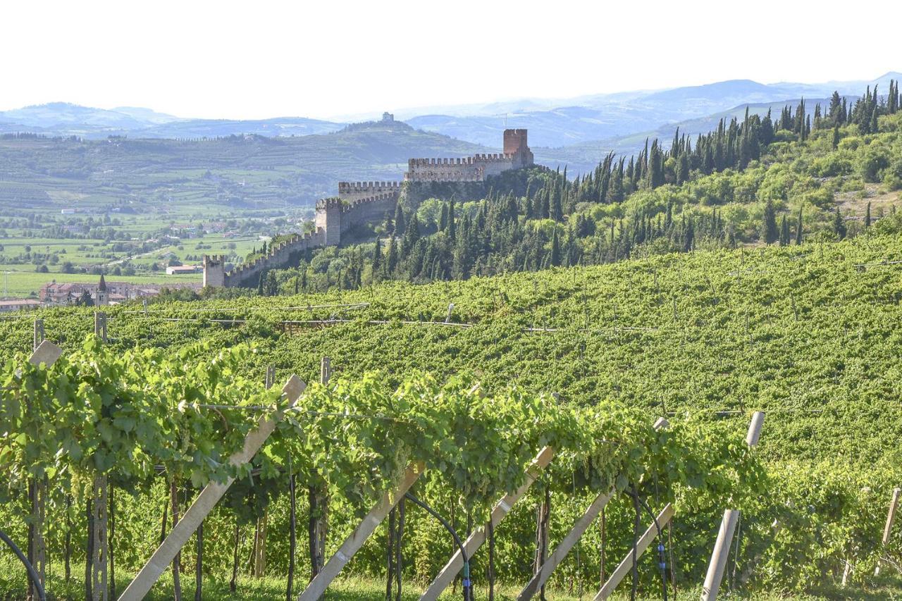 Bed & Breakfast Antique Maison Soave (Verona)